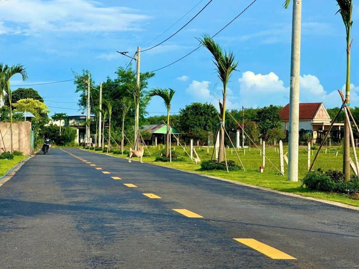 Bán đất nền mặt tiền ĐT 749A 450m2 giá 950 triệu, Minh Thạnh, Dầu Tiếng, Bình Dương - Ảnh 1