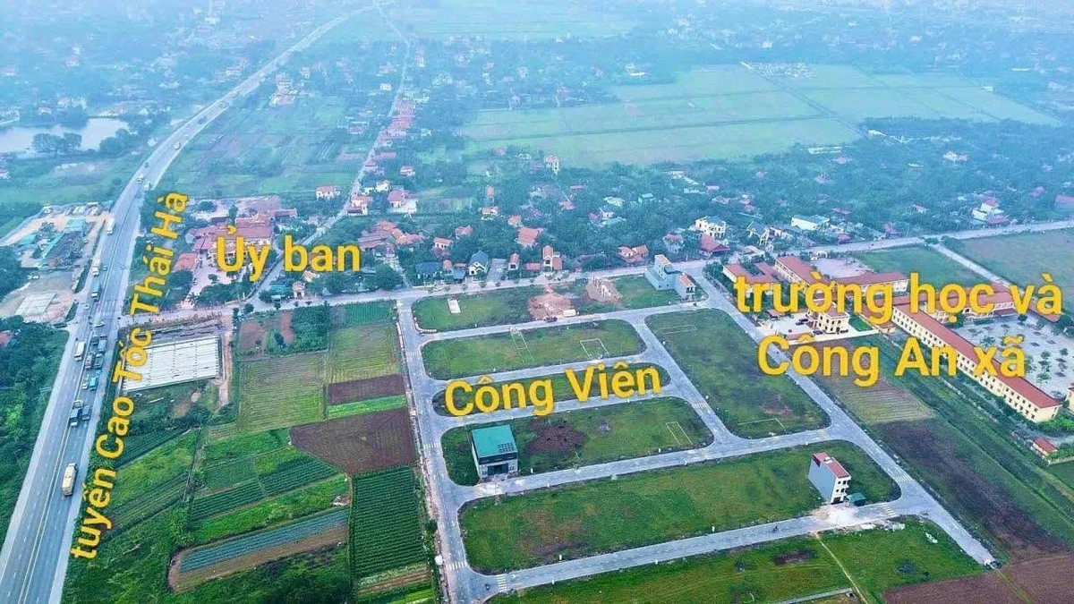 Bán đất 75m² mặt 5m Công viên Đấu Giá Bình Nghĩa Bình Lục 1.5 tỷ - Ảnh 1
