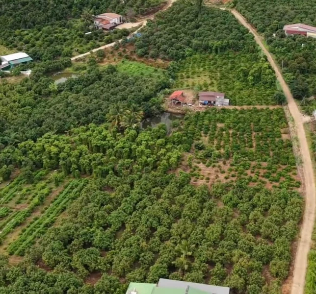 Bán đất 150 m² xã Đắk Rla, Đắk Nông