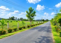 Cần bán 500m2 đất thổ đô thị, đường Nguyễn Trọng Hợp nd, Thành Phố Gò Công, sổ hồng - Ảnh thu nhỏ 5