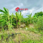 Bán nền mặt tiền Quốc lộ 1A Phú Hưng Cà Mau 1400m2 - Ảnh thu nhỏ 3