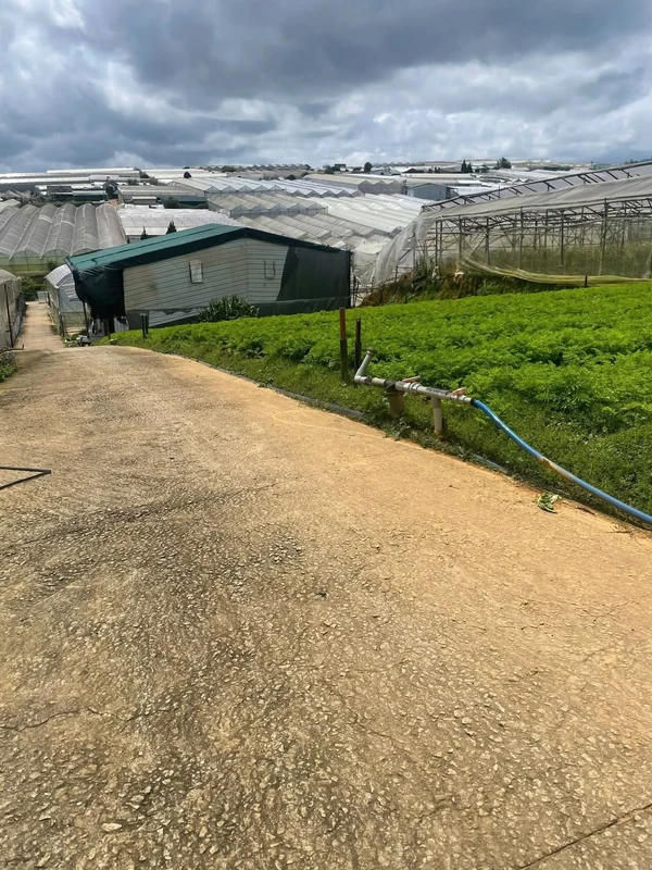 Bán nhà hẻm An Dương Vương, Phường 8, Quận 5, 1 trệt 2 lầu 3PN, giá 4,18 tỷ nhagovap10ty