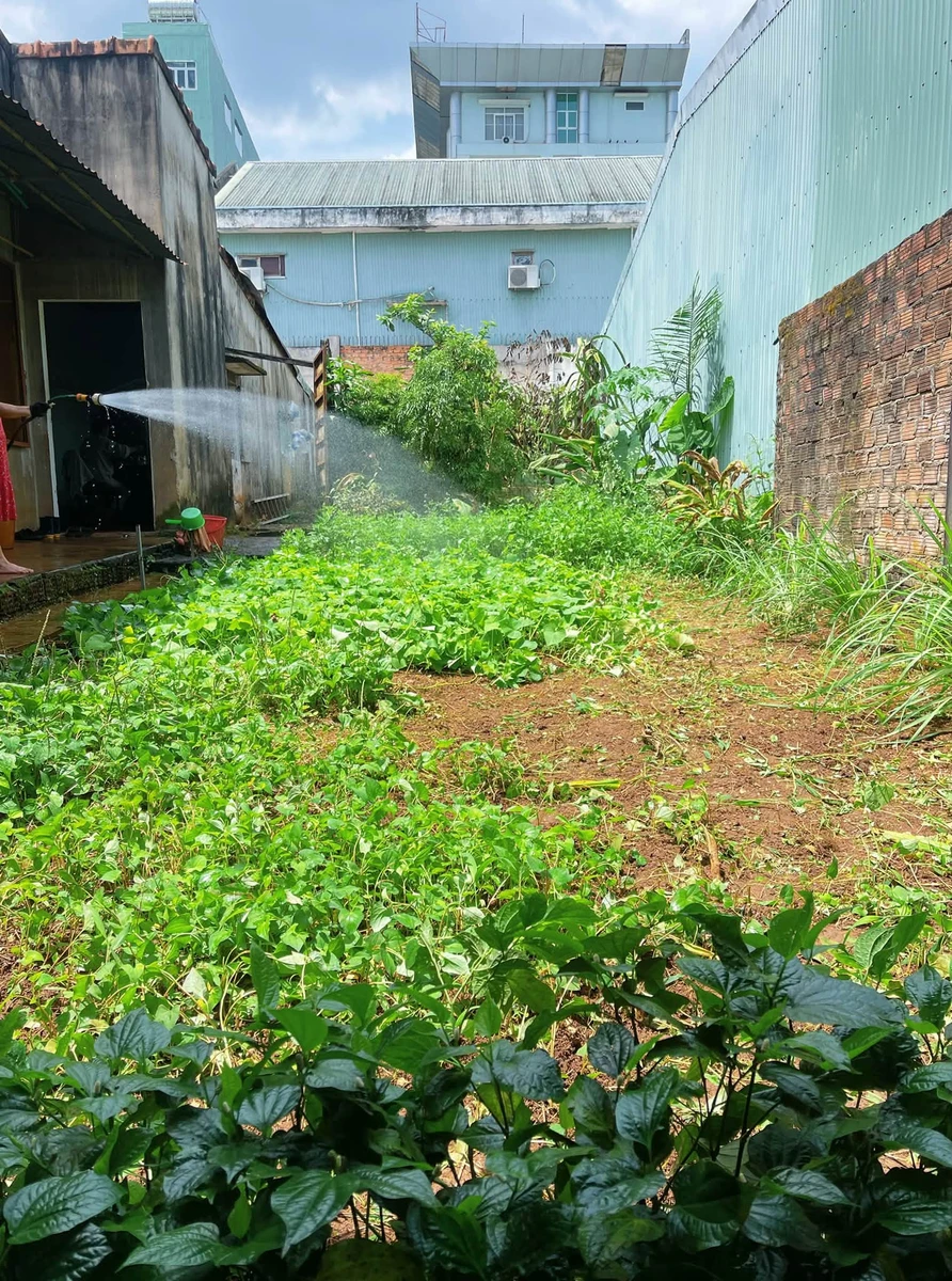 Bán đất nền trung tâm Pleiku 261m² - 3 tỷ - Ảnh thu nhỏ 4