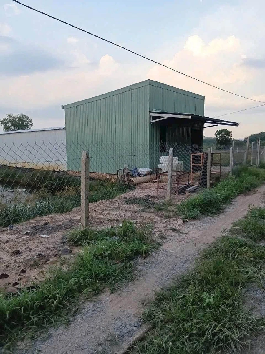 Bán đất vườn 1.156m2 đường Thanh Bình, Phường Phú An giá 2 tỷ - Ảnh thu nhỏ 5