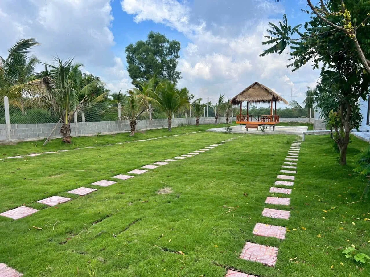 Nhà vườn view sông 1052m², 2PN, 2.9 tỷ, Thạnh Lợi - Ảnh thu nhỏ 3