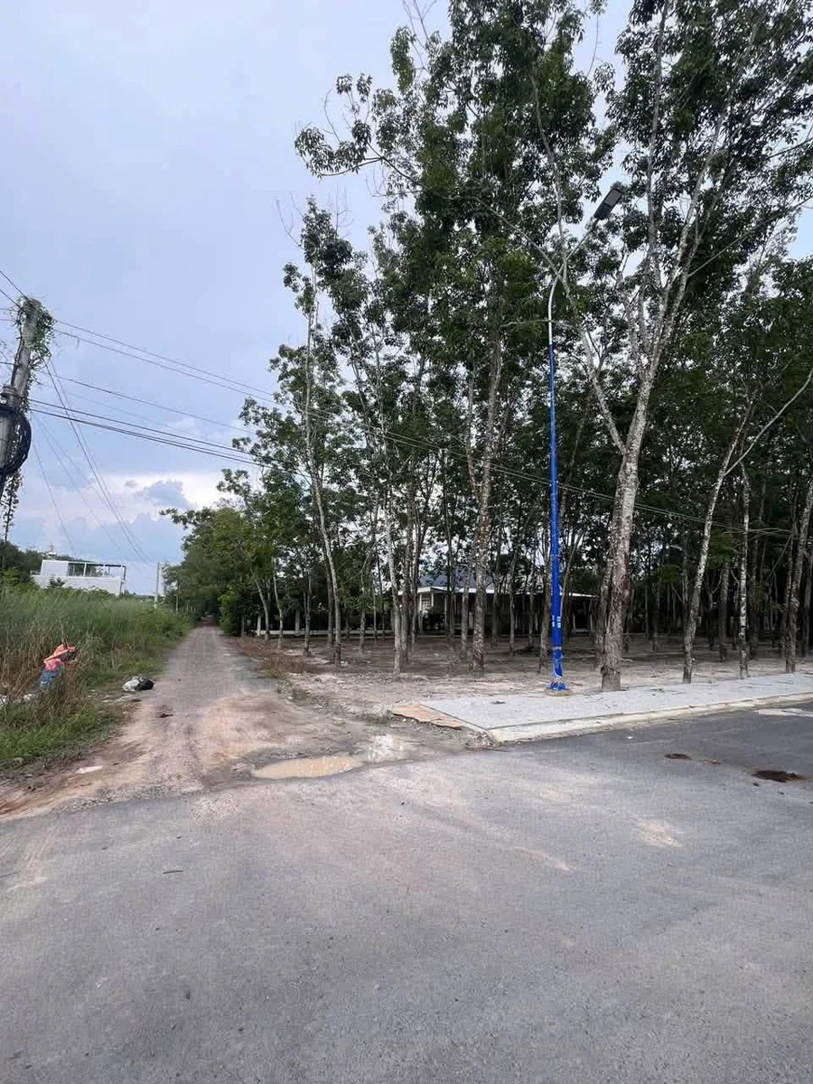 Bán 2 lô đất liền kề Lê Duẩn 76m2 giá 440 triệu - Ảnh 1