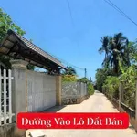 Bán đất thổ cư 98,7m2 hẻm bê tông đường Trần Quang Diệu, Xuân An, Phan Thiết - Ảnh thu nhỏ 4