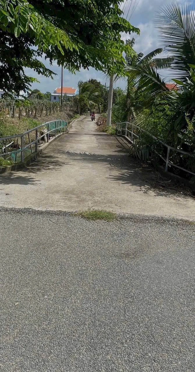 Bán đất thổ cư 5x35m giá 390 triệu tại xã An Lục Long, Châu Thành, Tây Ninh - Ảnh thu nhỏ 2