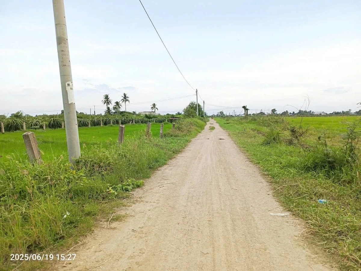 Bán đất lúa 1500m² Hàm Liêm Lâm Đồng 550 triệu - Ảnh 1