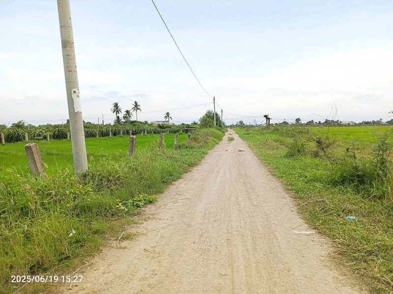 Bán đất lúa 1500m² Hàm Liêm Lâm Đồng 550 triệu