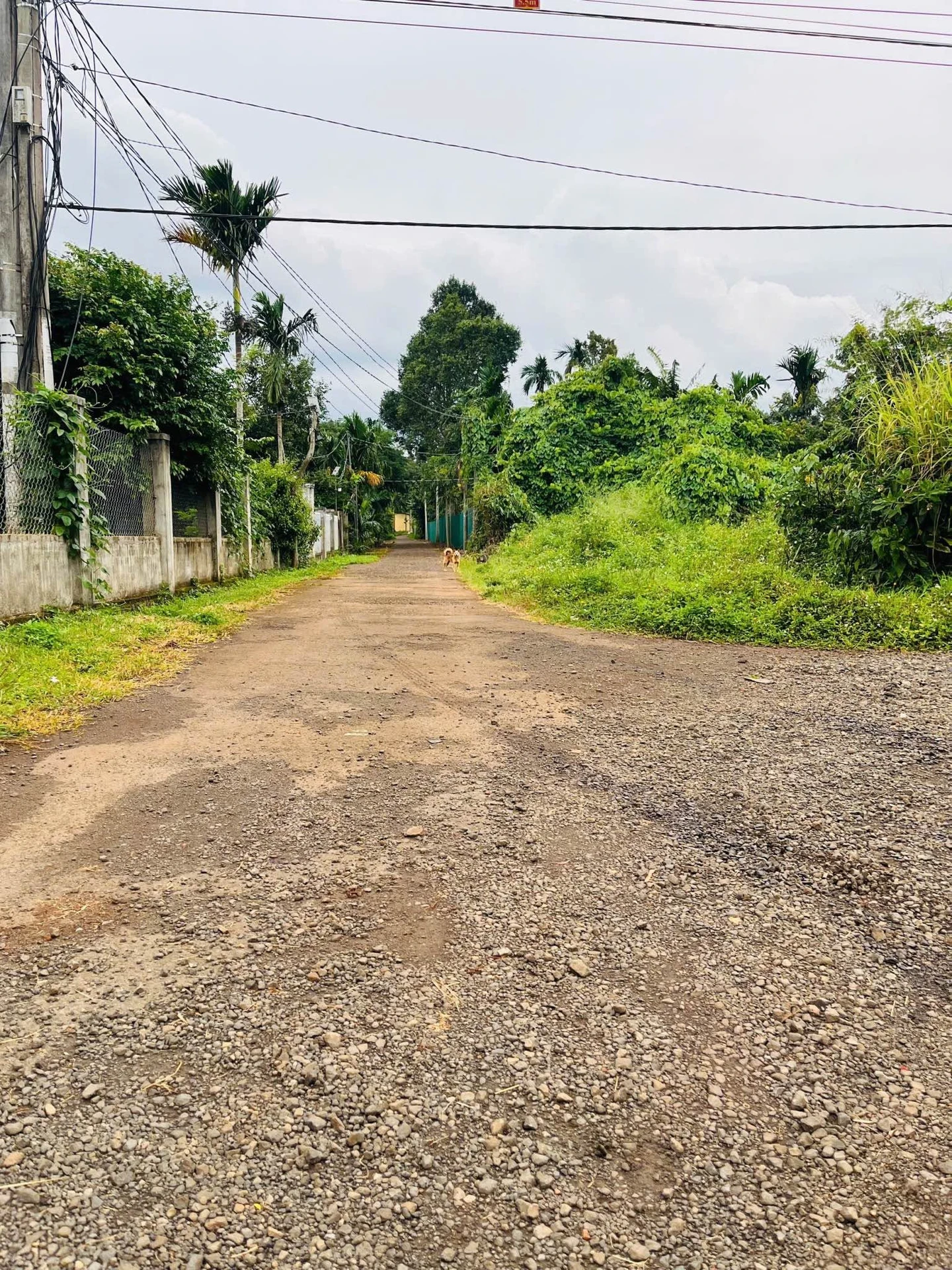 Bán đất 5x30m (150m2) Buôn Còleo, Hòa Thắng, Buôn Ma Thuột giá 1,08 tỷ - Ảnh 1