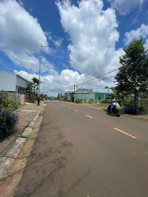 Đất mặt đường 5x50m 250m² tại Lâm Đồng, 1 tỷ