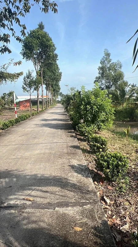 Bán 1000m² đất nền Hoà Phú, Châu Thành, Long An