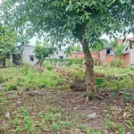 Bán đất mặt tiền 53m, 581m² gần chợ An Ngãi, Long Điền - Ảnh thu nhỏ 1
