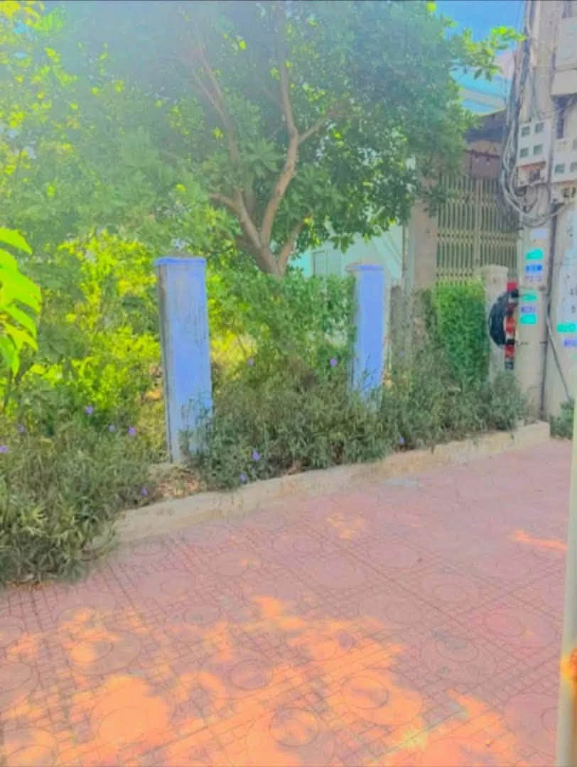 Bán đất mặt tiền Trần Quý Cáp 213,9m2 Ninh Hòa - Ảnh thu nhỏ 3