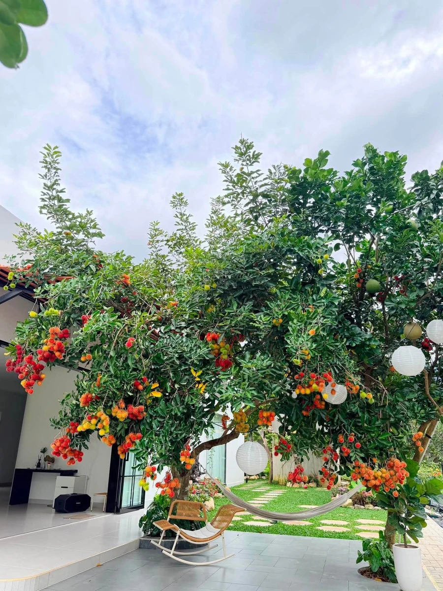 Bán nhà 5x25m (125m²) 1 tỷ 280 Bình Lộc - Ảnh 1