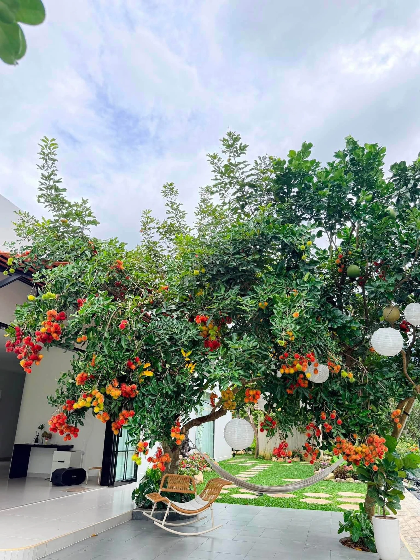 Bán nhà 5x25m (125m²) 1 tỷ 280 Bình Lộc - Ảnh 1