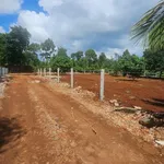 Bán đất nông nghiệp 500m2 Bình Mỹ 759 triệu - Ảnh thu nhỏ 3