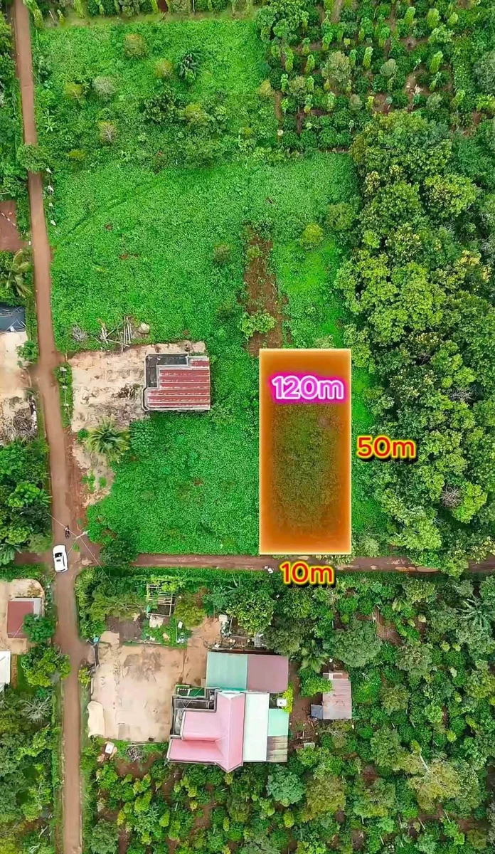 Bán 500m² đất thổ cư 2 sổ đỏ riêng tại xã Ea Tul, Đắk Lắk giá 540 triệu - Ảnh thu nhỏ 2