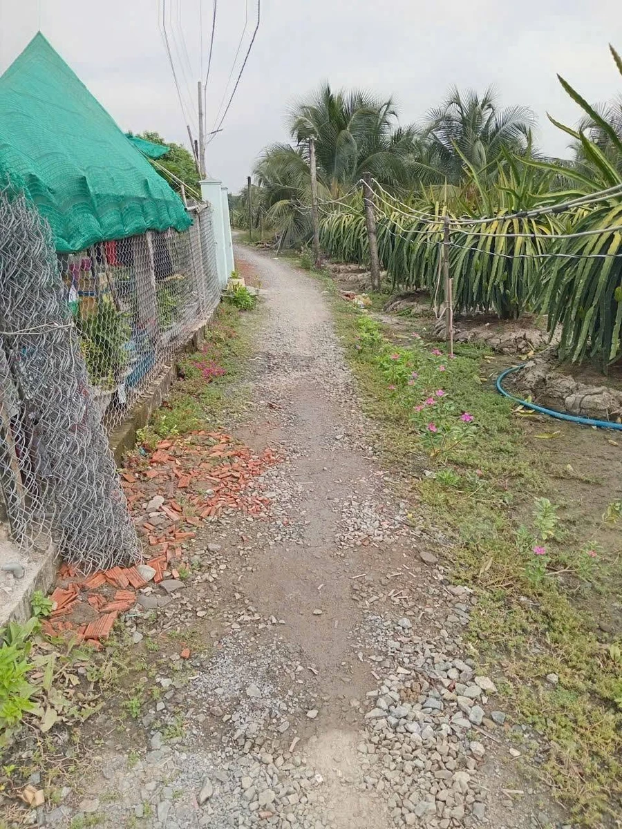 Bán đất thổ cư 105m2 ấp 1 Hòa Phú, Châu Thành, Long An giá 360 triệu - Ảnh thu nhỏ 5