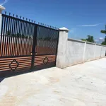 Bán đất 800m² Phong Nẫm Phan Thiết 1.5 tỷ - Ảnh thu nhỏ 2