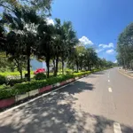 Bán đất mặt đường Tôn Đức Thắng, Lâm Đồng, 359m², 2,8 tỷ - Ảnh thu nhỏ 1