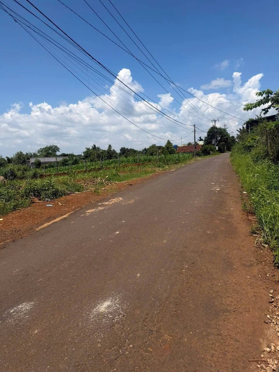 Bán 5 lô đất Ea Kao, Buôn Ma Thuột, 160m², 850 triệu/lô - Ảnh thu nhỏ 2