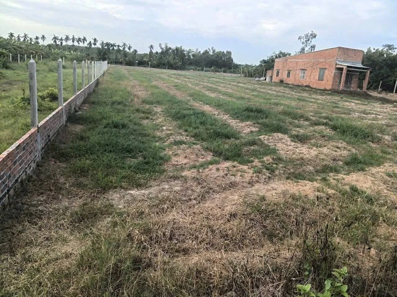 Bán đất 124m2 mặt tiền đường đất đỏ 6m tại xã Tân Phong, Tây Ninh giá 288 triệu - Ảnh 1