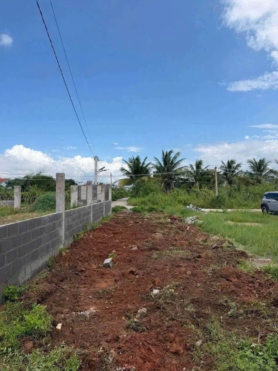 Bán lô đất thổ cư 102m2 Hàm Liêm Phan Thiết - Ảnh thu nhỏ 2