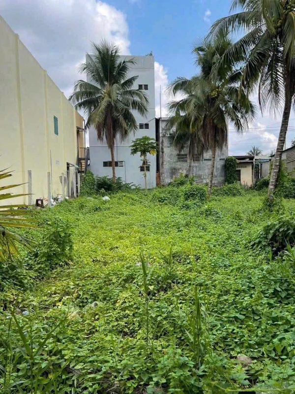 Bán đất Cần Giờ 7x31m (217m²) 770 triệu