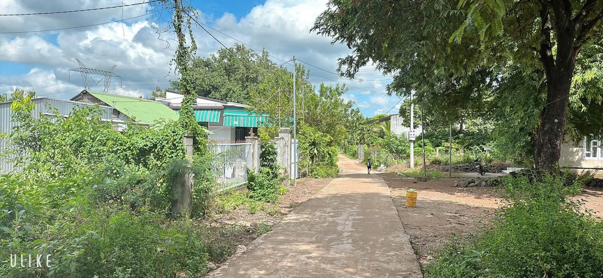 Bán đất Làng Thái Hòa Phú 250m² chỉ 530 triệu - Ảnh 1