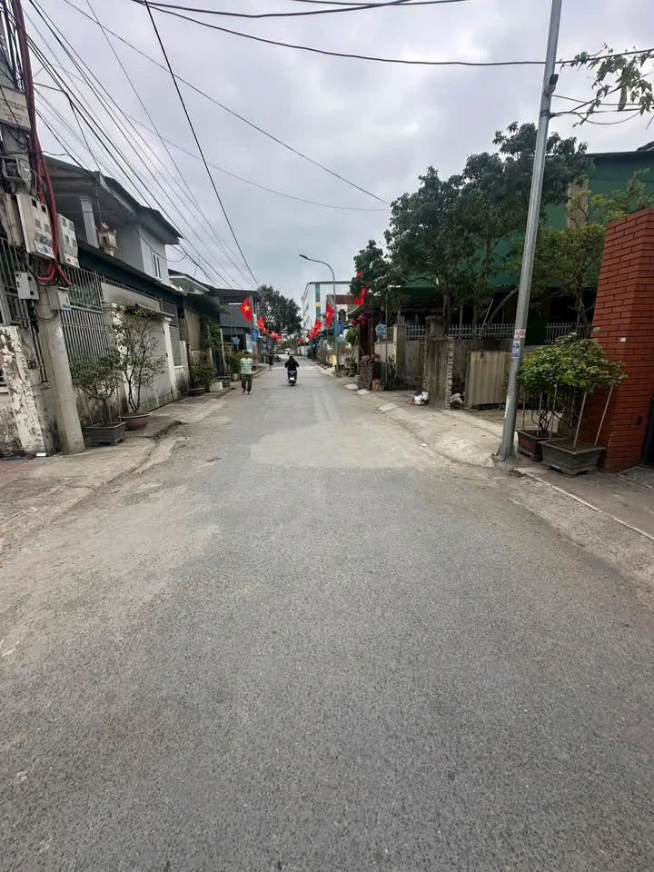 Bán lô đất 55m² mặt đường Nguyễn Khuyến - Ảnh thu nhỏ 3