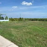 Bán đất Hàm Liêm 100m² 500 triệu - Ảnh thu nhỏ 3