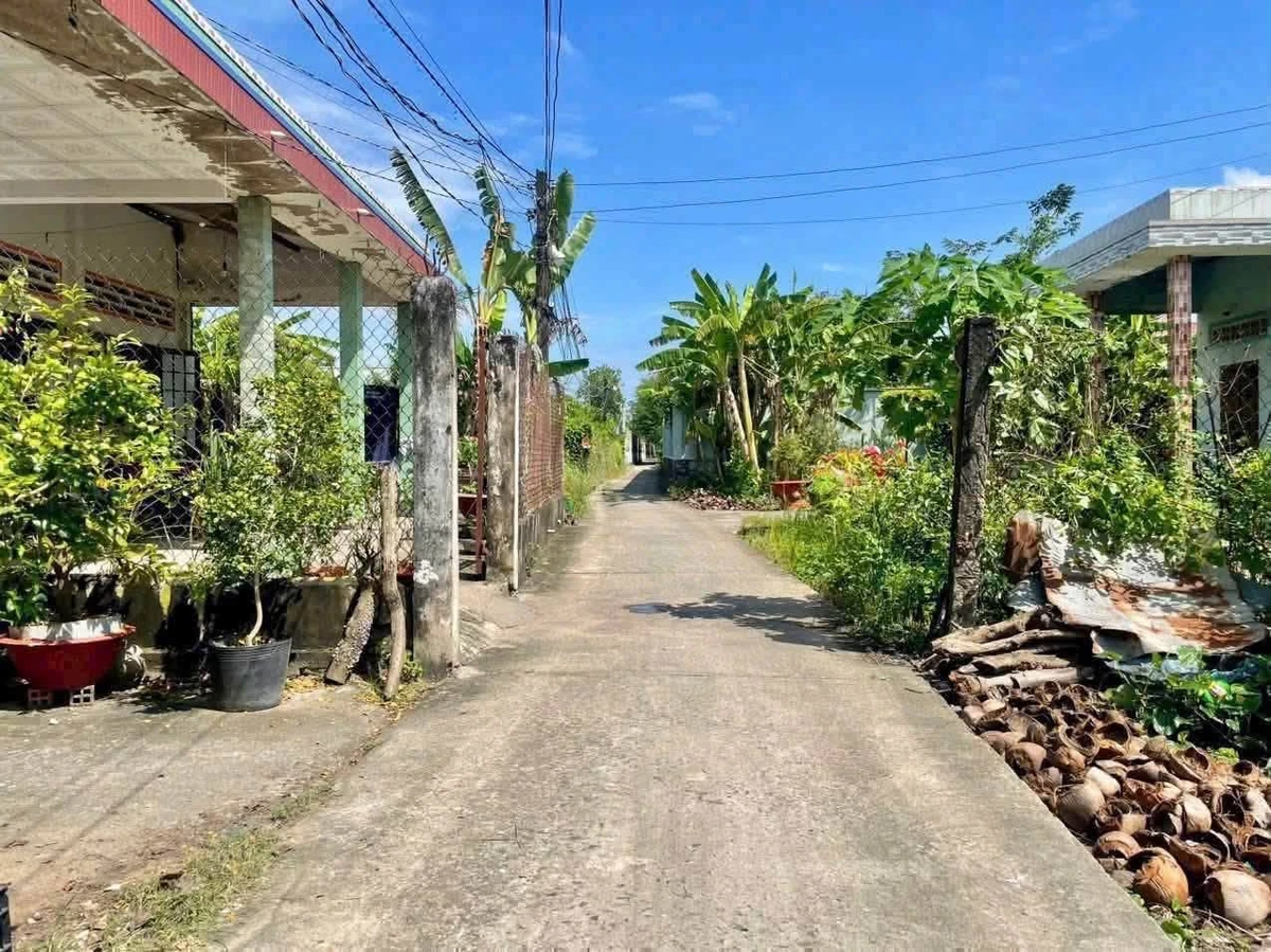 Bán lô đất hẻm 180 m² An Vĩnh Ngãi, Tân An - Ảnh thu nhỏ 3