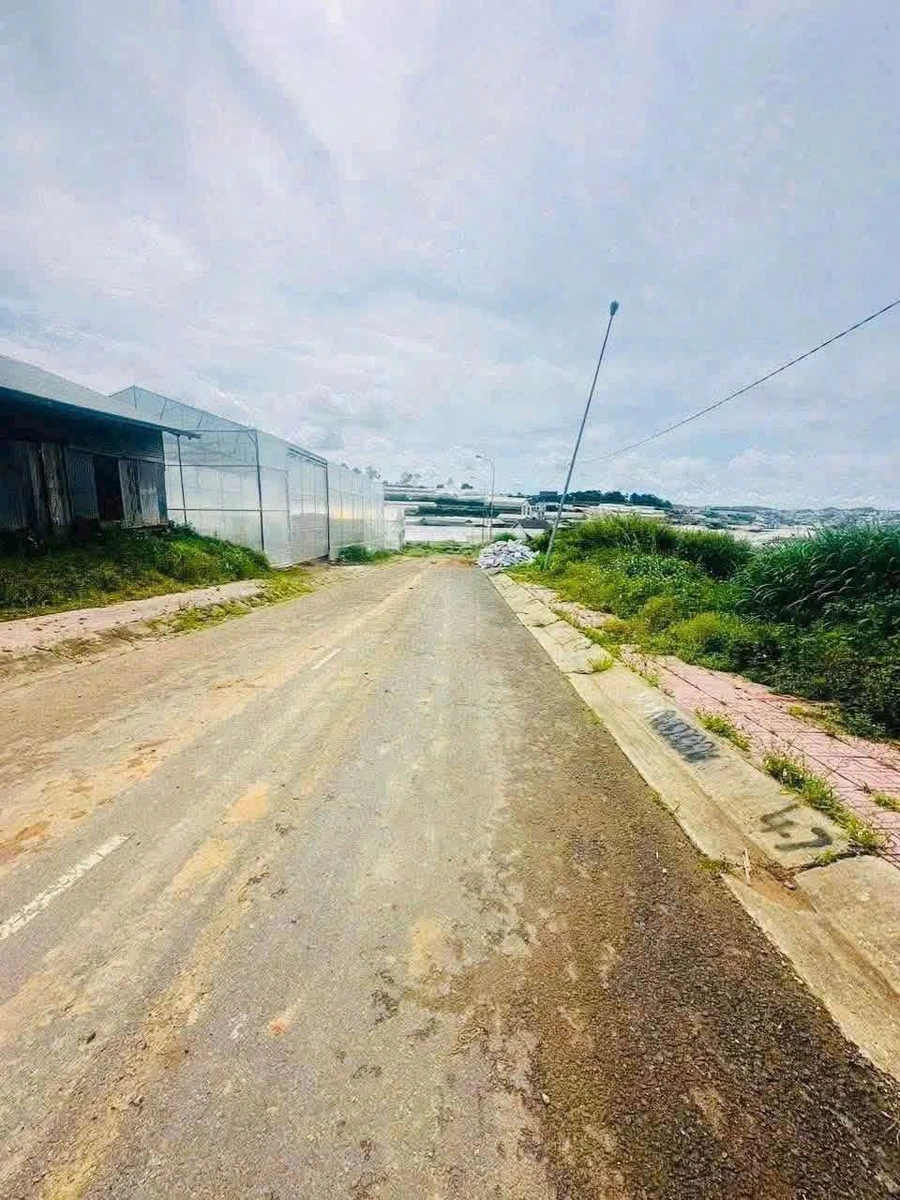 Bán lô đất 100m² Nguyễn Hoàng Đà Lạt 3,9 tỷ - Ảnh 1