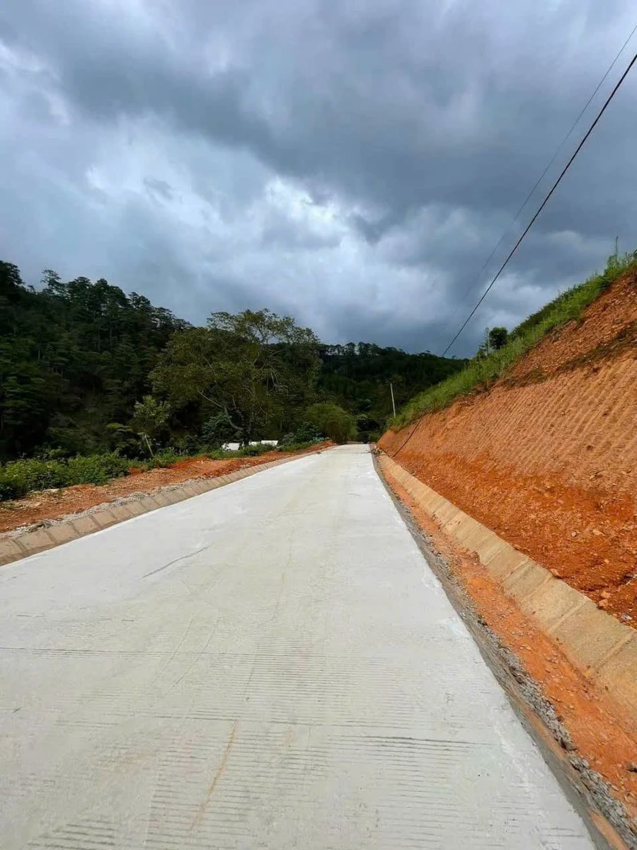 Bán lô đất view rừng thông và hồ 1080m² Đà Lạt - Ảnh 1