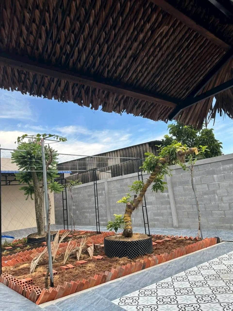 Bán nhà vườn 2PN 450m² Tầm Vu Tây Ninh 2 tỷ 290 triệu - Ảnh thu nhỏ 4