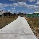 Bán đất 1300m² trồng cây ăn trái Hàm Liêm 850 triệu - Ảnh thu nhỏ 2