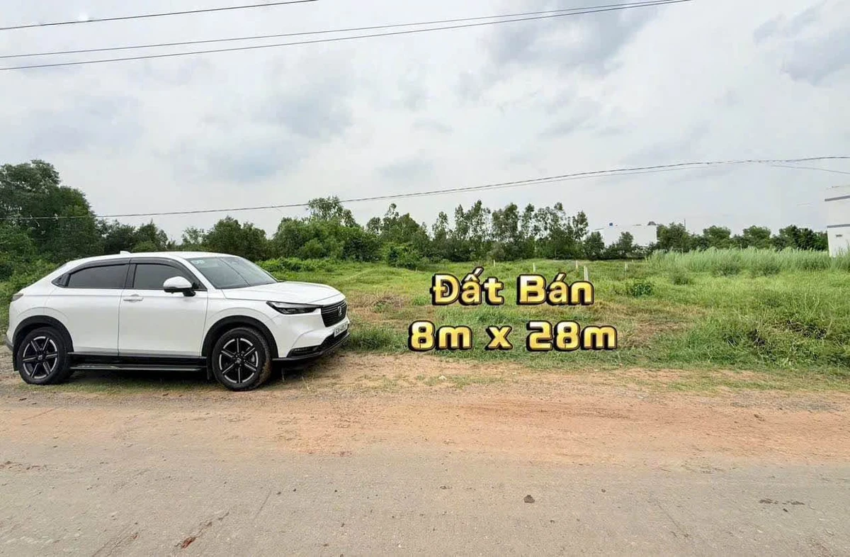 Bán 224m² đất mặt tiền Tân Bửu, Bến Lức, Tây Ninh - Ảnh thu nhỏ 2
