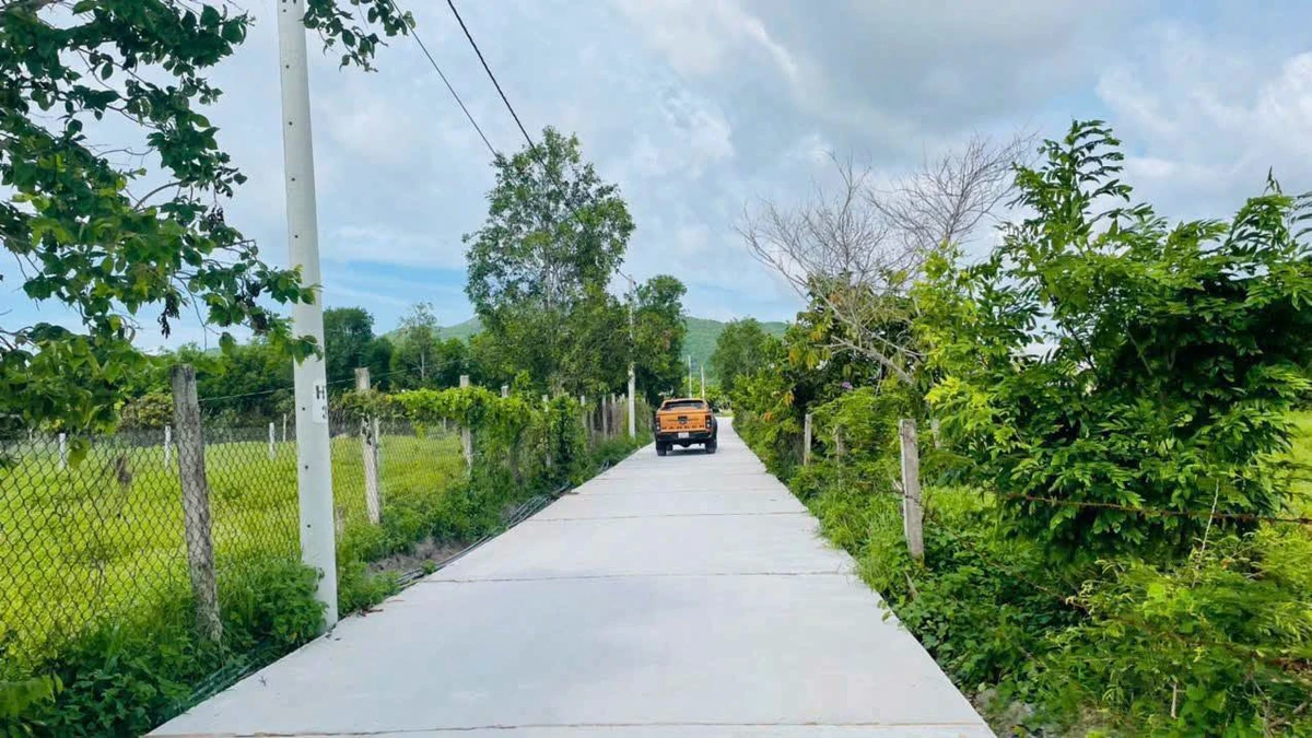 Bán đất Phước Hải BRVT 265m2 cách biển 5km - Ảnh 1