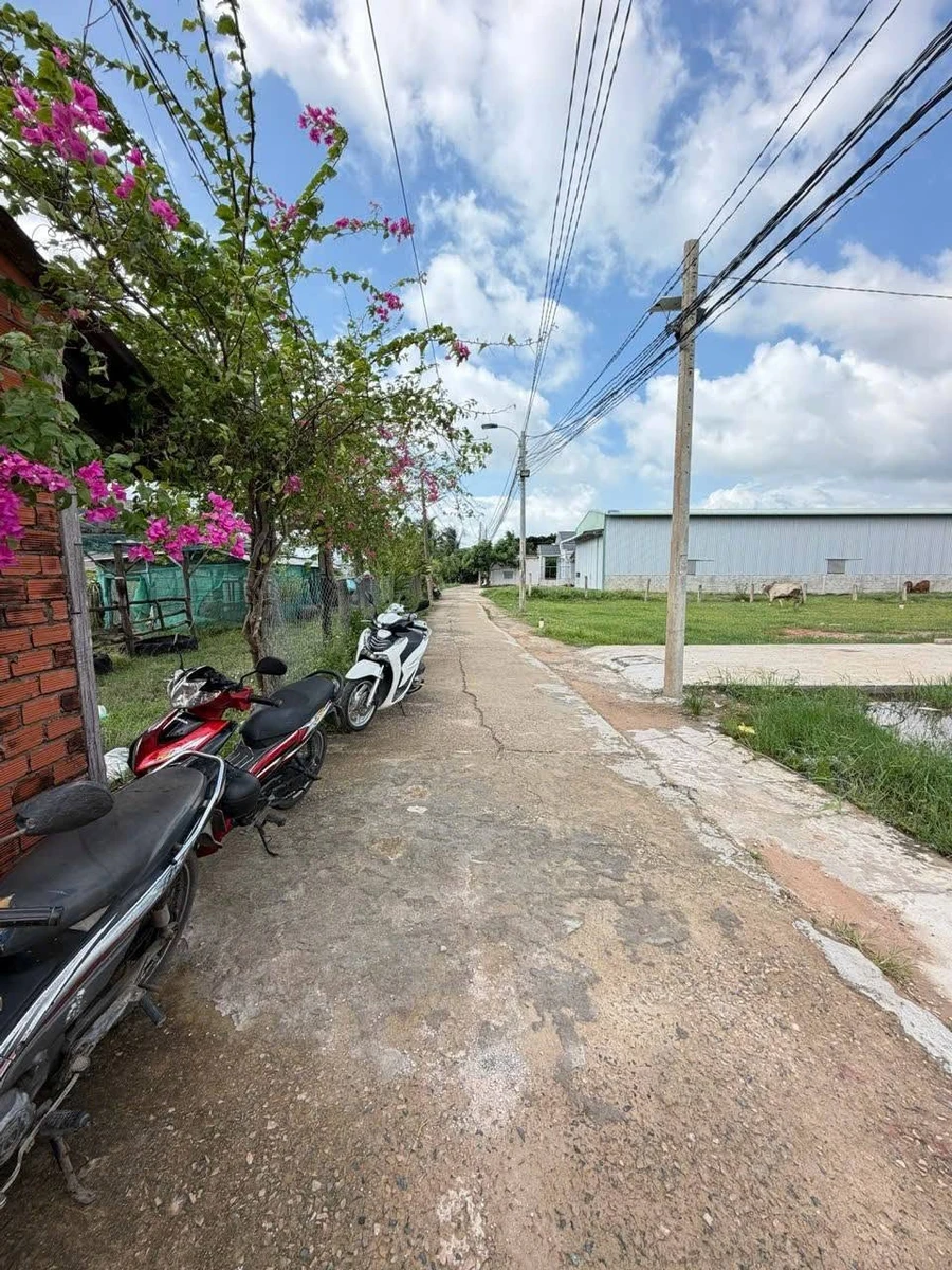 Bán đất nền 100m² Phan Thiết, Bình Thuận 650 triệu - Ảnh thu nhỏ 4