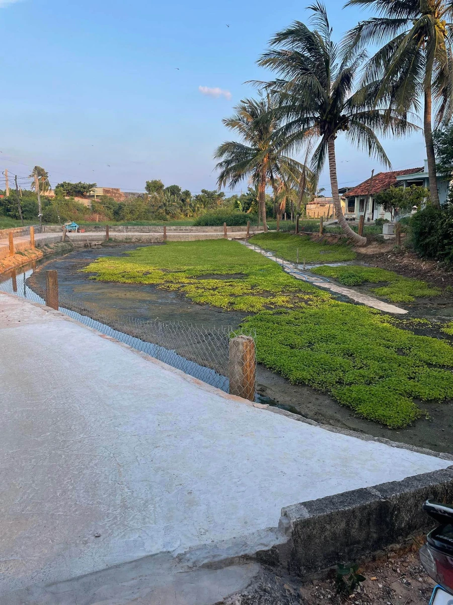 Bán 600m2 đất nông nghiệp Hàm Hiệp Phan Thiết giá 700 triệu - Ảnh 1