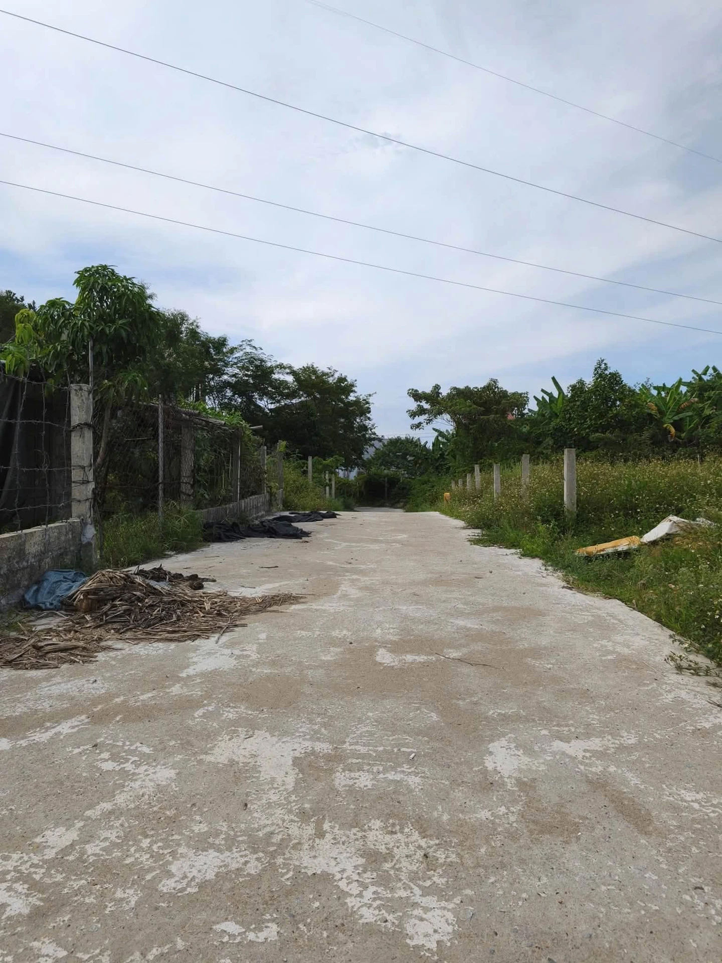 Bán lô đất kiệt 105.3m2 Võ Duy Ninh Quận 12 - Ảnh 1