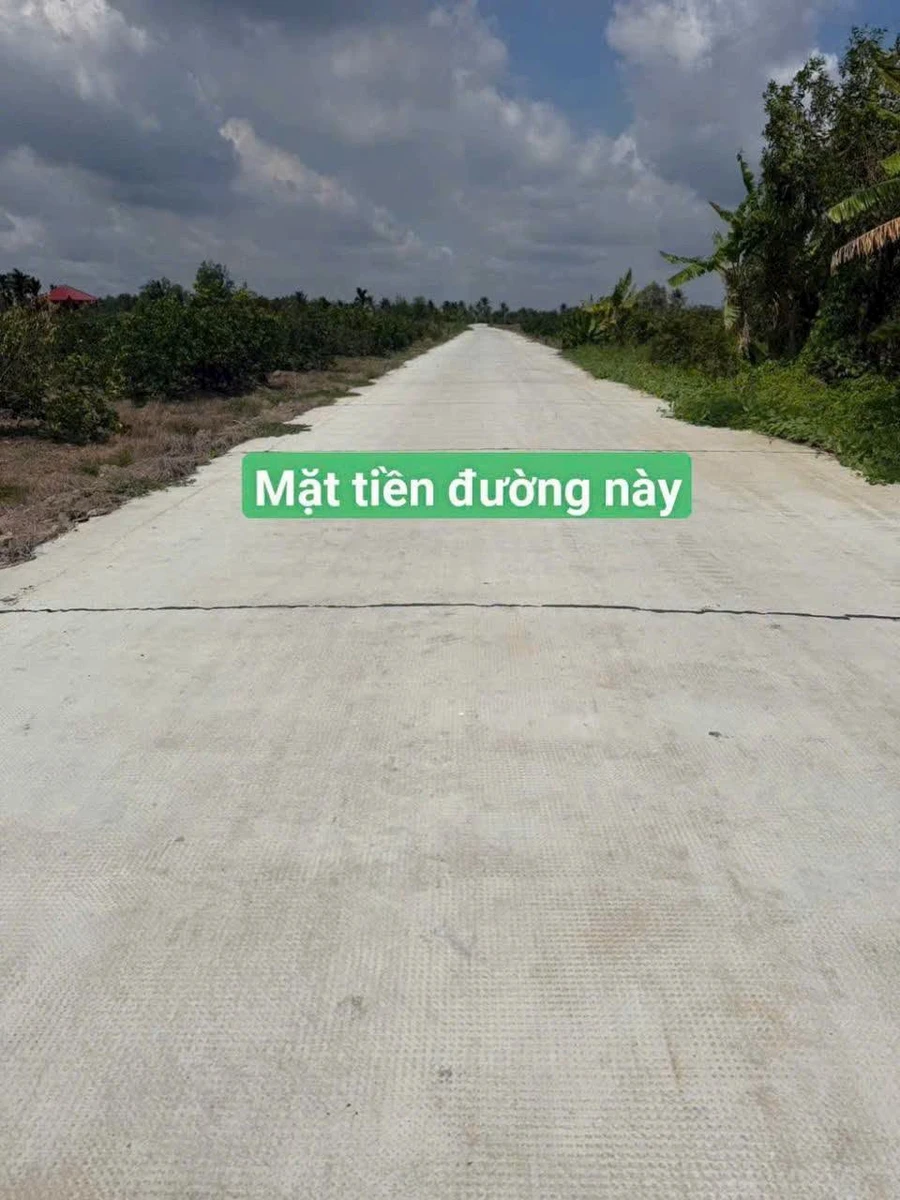 Bán đất vườn Thạnh Lợi Long An 500-750m2 560-690 triệu - Ảnh thu nhỏ 4