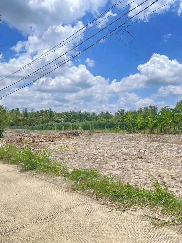 Bán đất vườn 1540m² Vĩnh Công Tây Ninh giá 999 triệu - Ảnh thu nhỏ 5