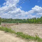 Bán đất vườn 1540m² Vĩnh Công Tây Ninh giá 999 triệu - Ảnh thu nhỏ 5