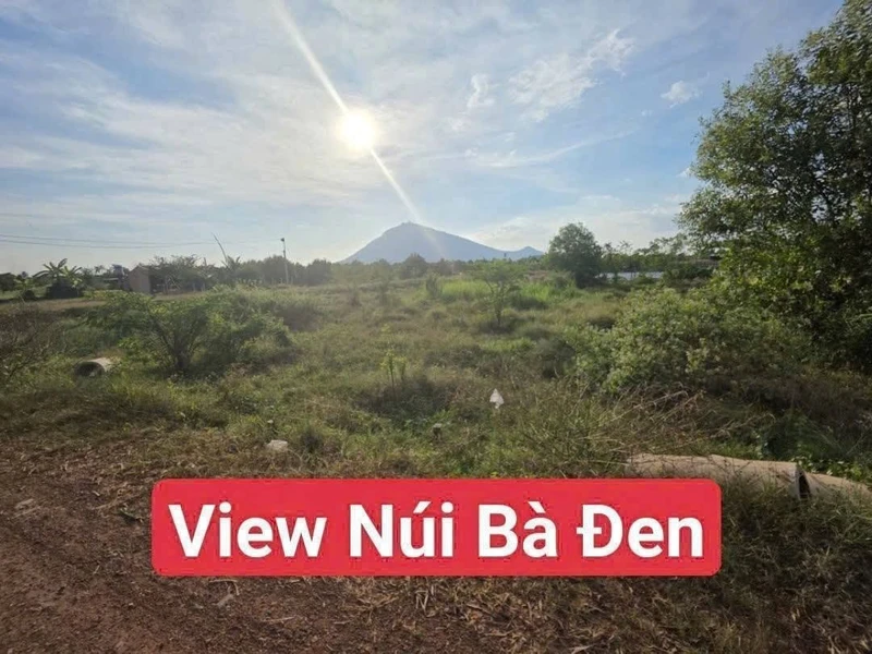 Bán đất 175m² đường 11-11, Tây Ninh, 290 triệu