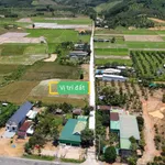 Bán đất 300m2 ngang 6m, 100m2 thổ cư, giá 239 triệu tại Đạ Tẻh, Lâm Đồng - Ảnh thu nhỏ 2