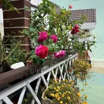 Bán nhà Đà Lạt 91.60m² mặt tiền hẻm Phường 3 giá 5.5 tỷ - Ảnh thu nhỏ 3