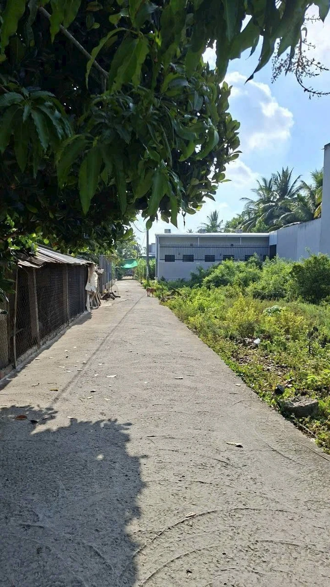 Bán nền Sơn Đông 132,4m² 600 triệu - Ảnh thu nhỏ 2